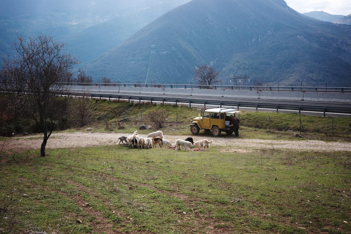 Un gruppo di pastori abruzzesi mangia frattaglie di ovino