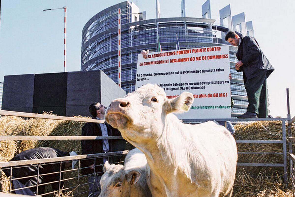 Proteste degli agricoltori davanti al parlamento di Strasburgo