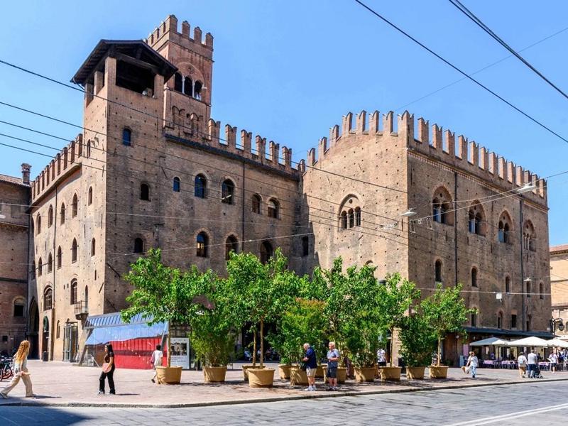 Bologna, estate 2025. Una delle soluzioni per abbattere il calore delle piazze cittadini: enormi vasi con piccoli alberi (Foto dal sito del Comune di Bologna)