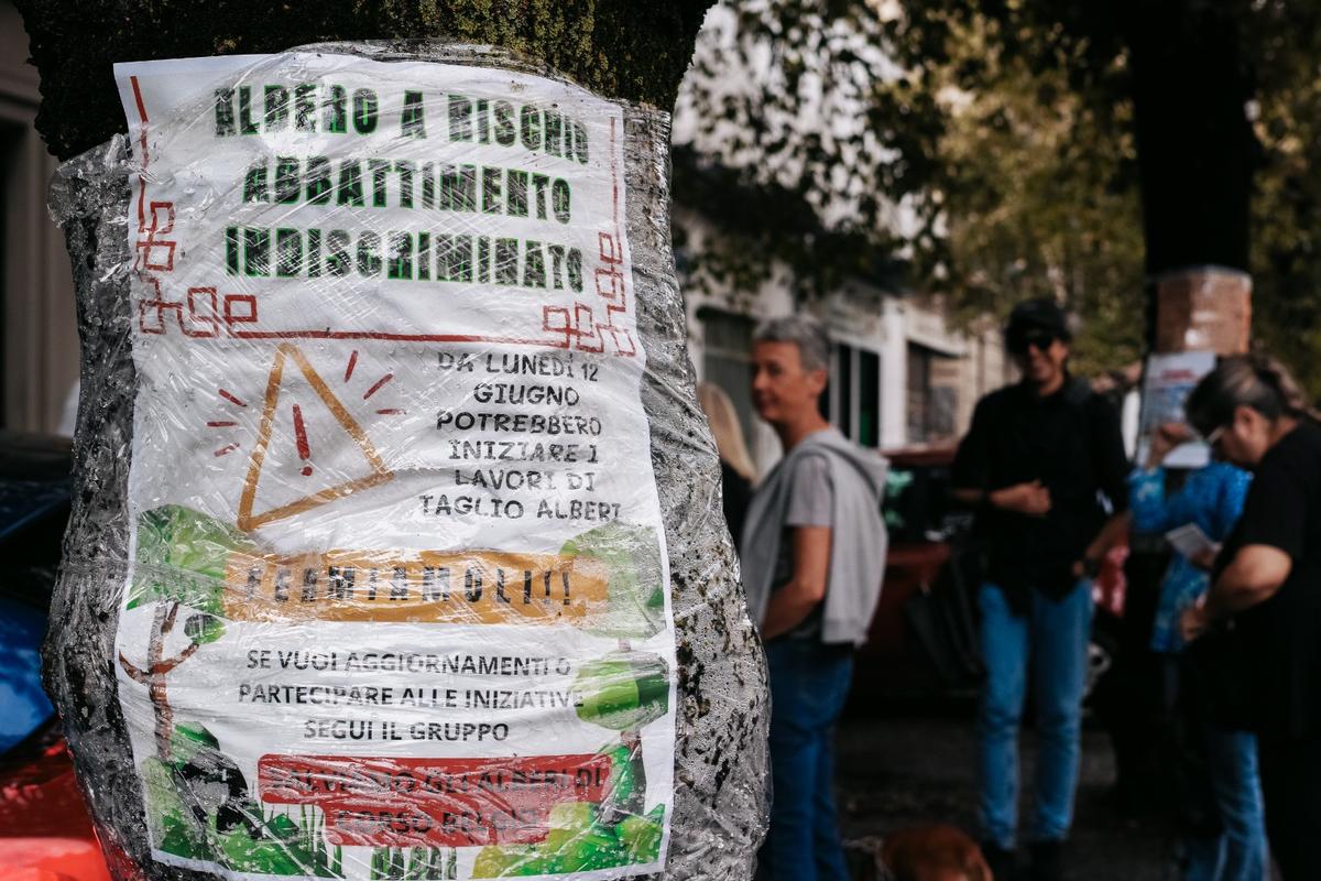 Una protesta contro l'abbattimento degli alberi a Torino (Foto Marco Panzarella)
