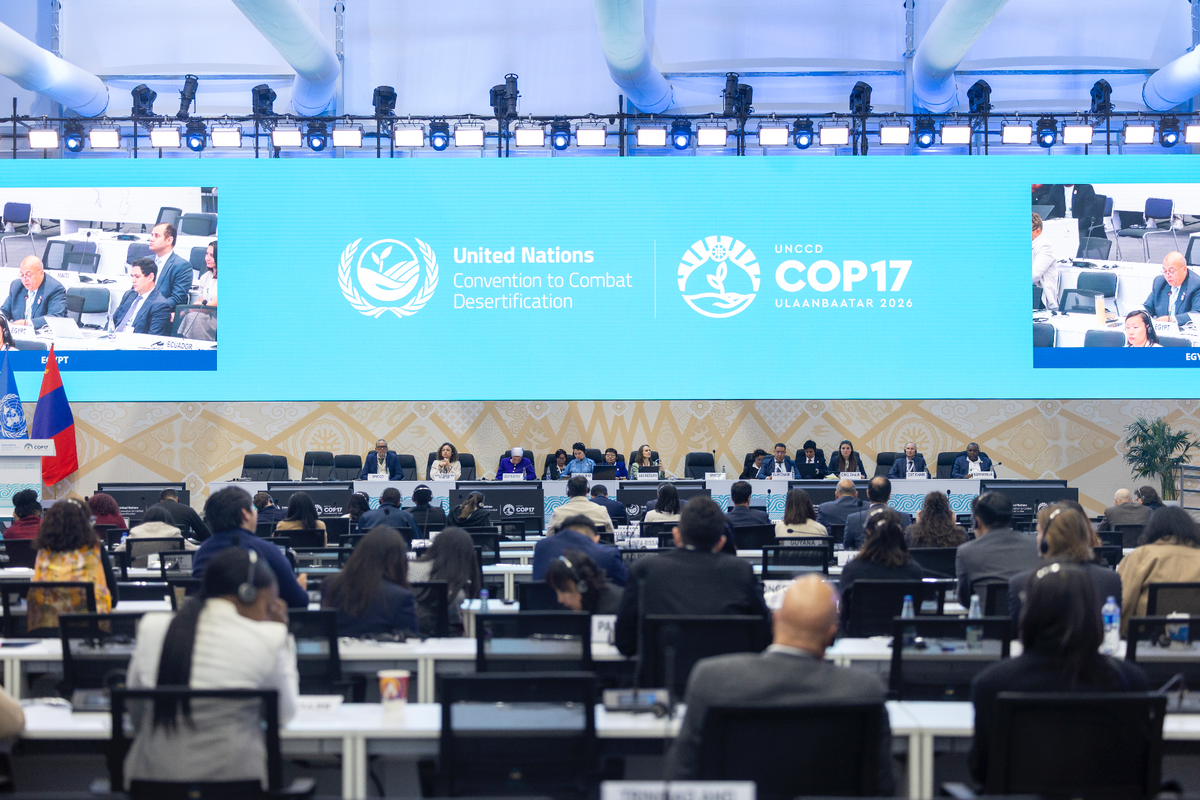 Ulaanbaatar (Mongolia), 29 agosto 2026. Plenaria della Conferenza delle parti alla Convenzione contro la desertificazione. Foto Unccd Cop17