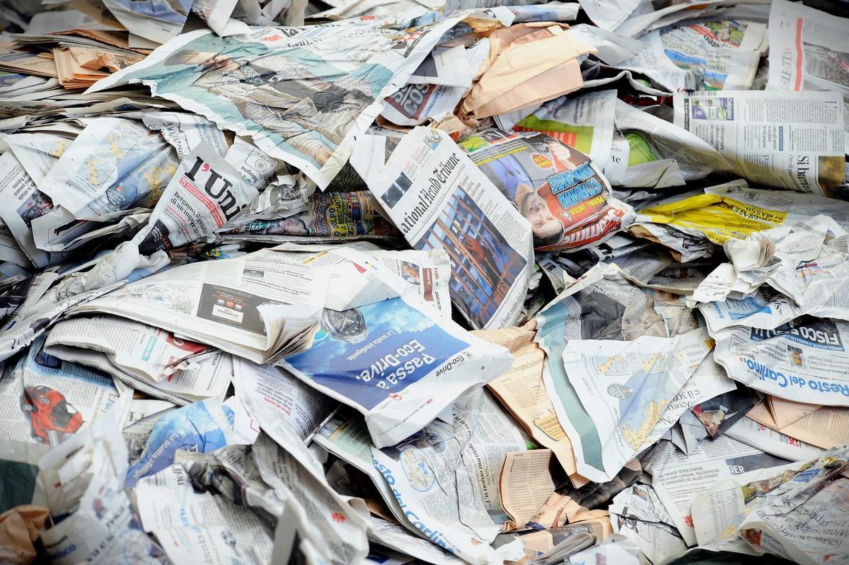 Roberto Serra / Iguana Press via Flickr