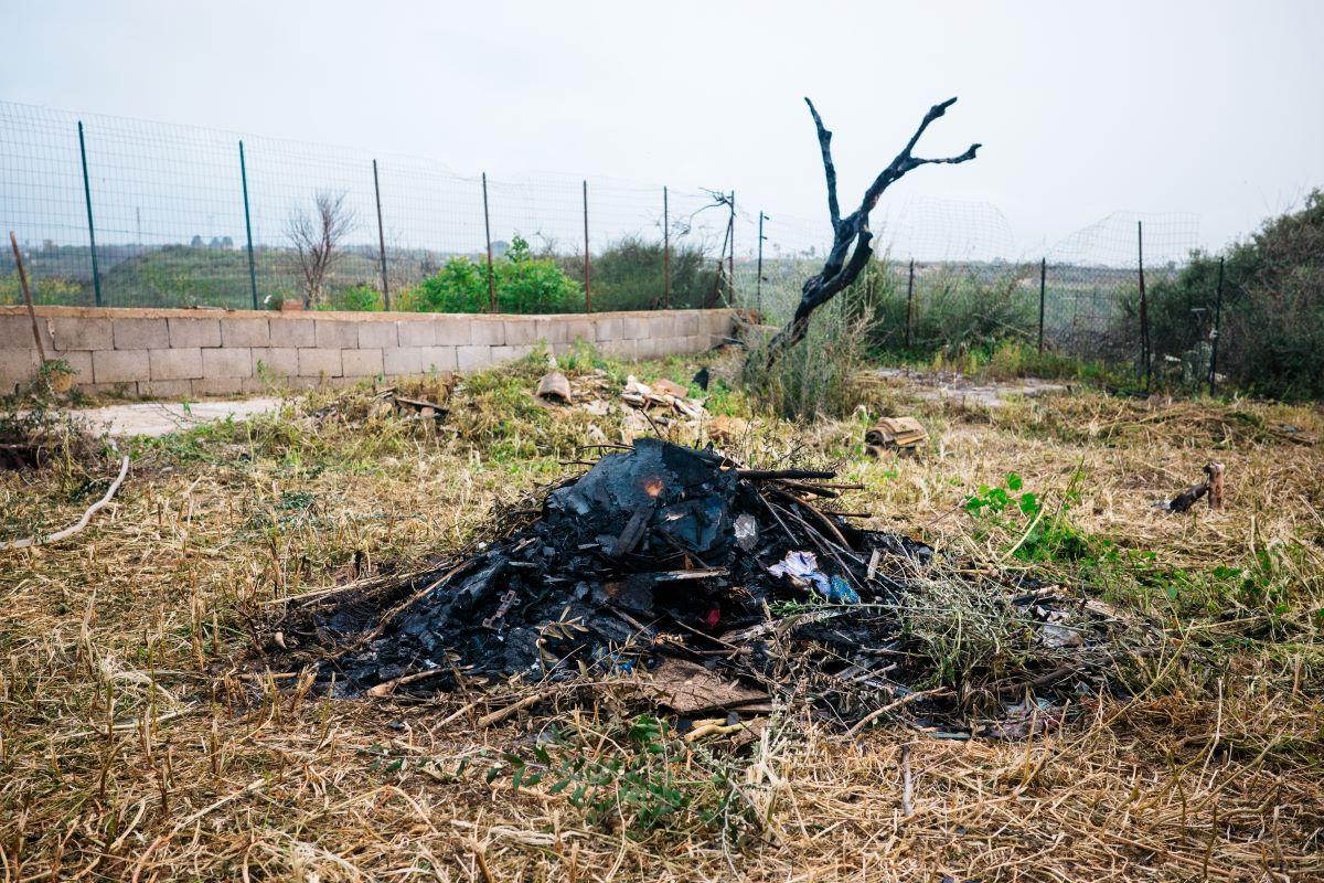 Nel giardino della famiglia di Andreina Albano rimangono ancora i segni dell'incendio di settembre 2023. Foto di M. Panzarella