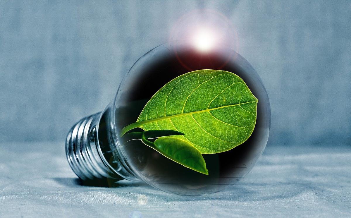 Transizione ecologica ed energetica. Foto: Pixabay