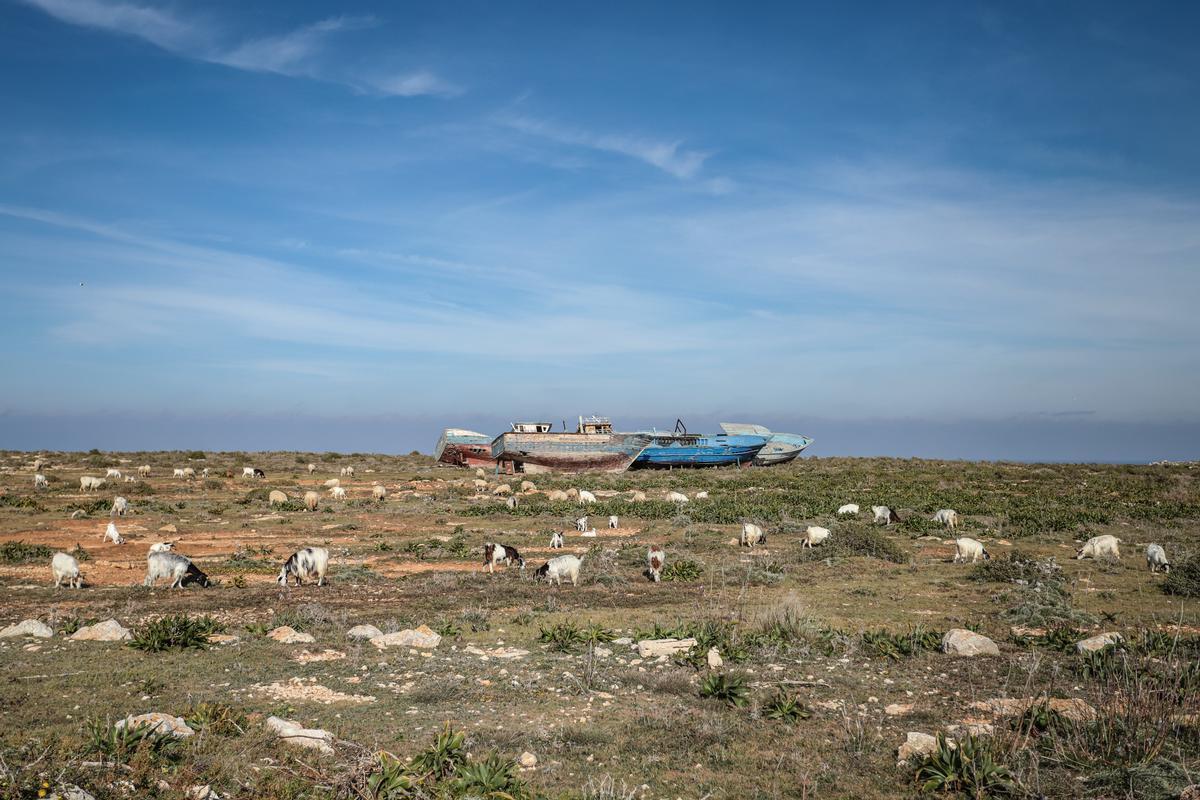 La parte più alta dell'isola, militarizzata - Foto di Maria Zullo