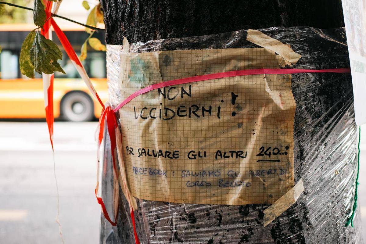 Proteste contro il taglio degli alberi in corso Belgio a Torino