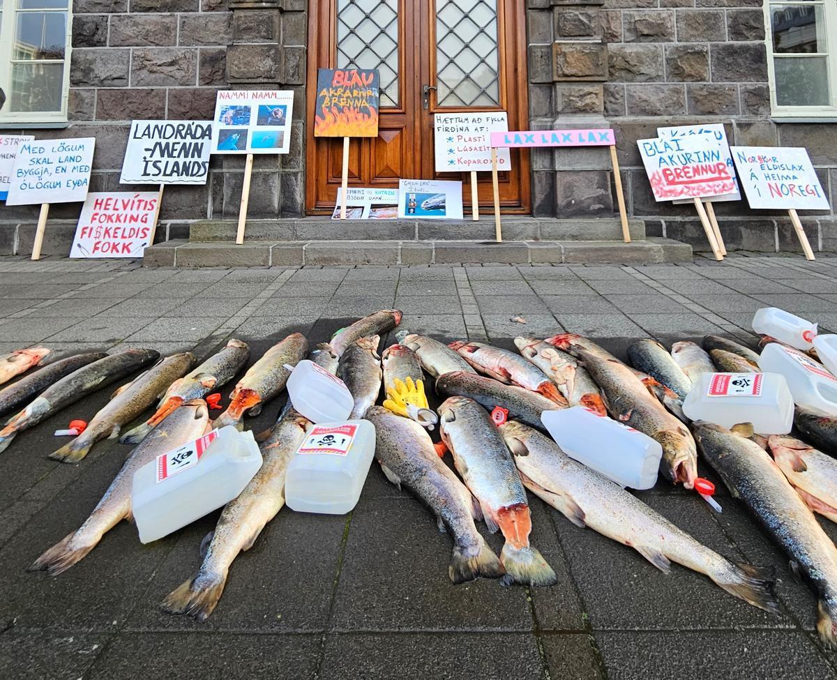 Proteste di fronte al palazzo del parlamento a Reykjavik, in Islanda. Foto di Jón Kaldal/Icelandic wildlife fund