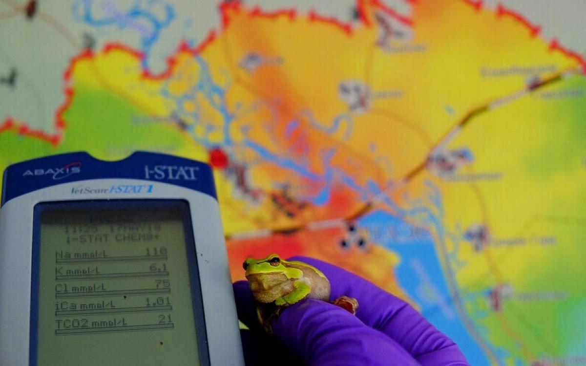 Foto di Germán Orizaola Pereda, professore di Zoologia dell'Università di Oviedo