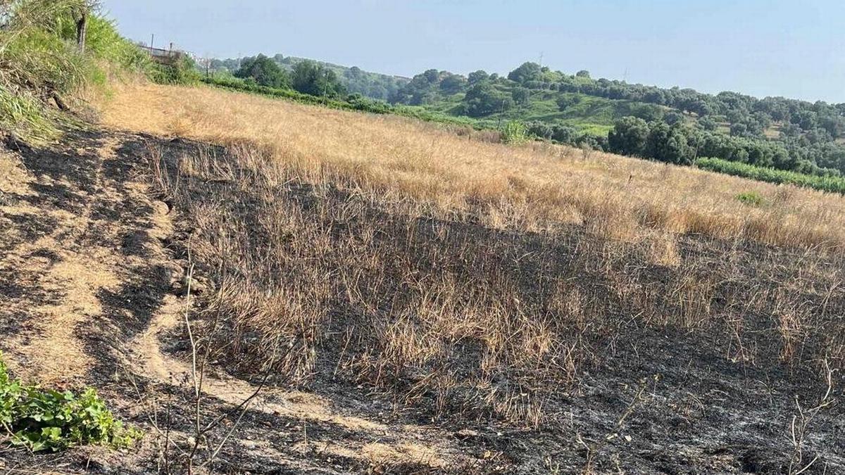 Uno dei terreni confiscati alla mafia in Calabria e assegnati alla cooperativa dei lavoratori, dato alle fiamme