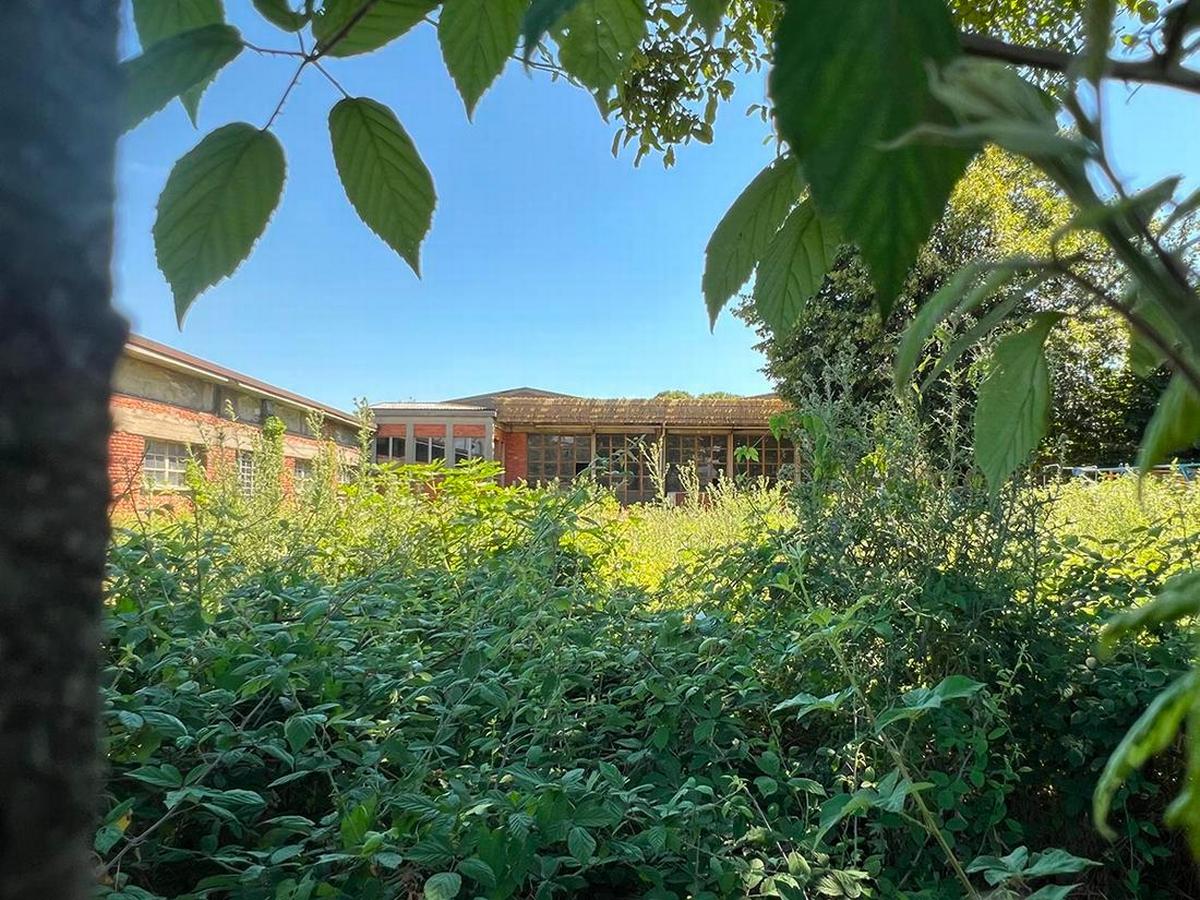 Meda (MB). Lo stabilimento della Icmesa da cui il 10 luglio 1976 fuoriscì una nube di diossina che investì Seveso e parte della Brianza (Foto di Marta Abbà)