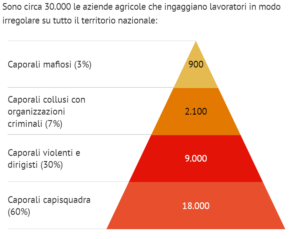 Osservatorio Placido Rizzotto - Flai Cgil