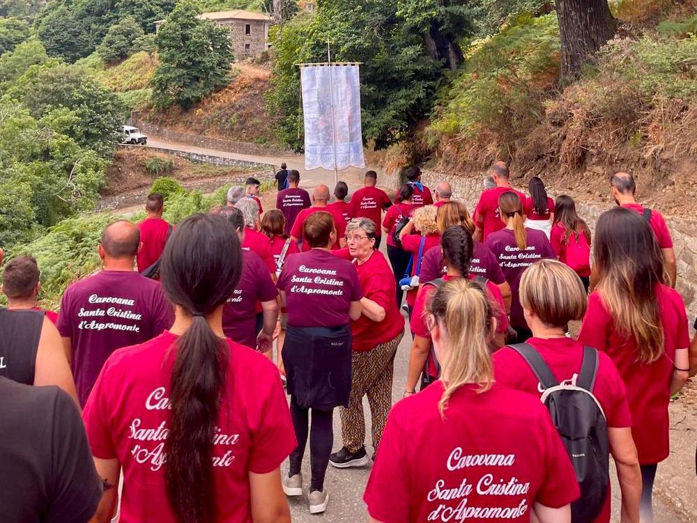 The pilgrimage caravan from Santa Cristina d'Aspromonte to Polsi (Photo by Anna Sergi)
