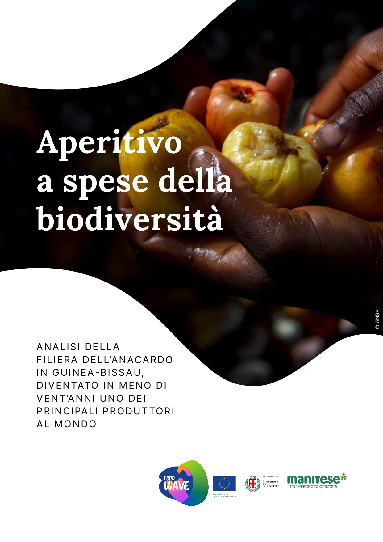 La copertina del dossier sugli anacardi realizzato da lavialibera e Mani Tese 