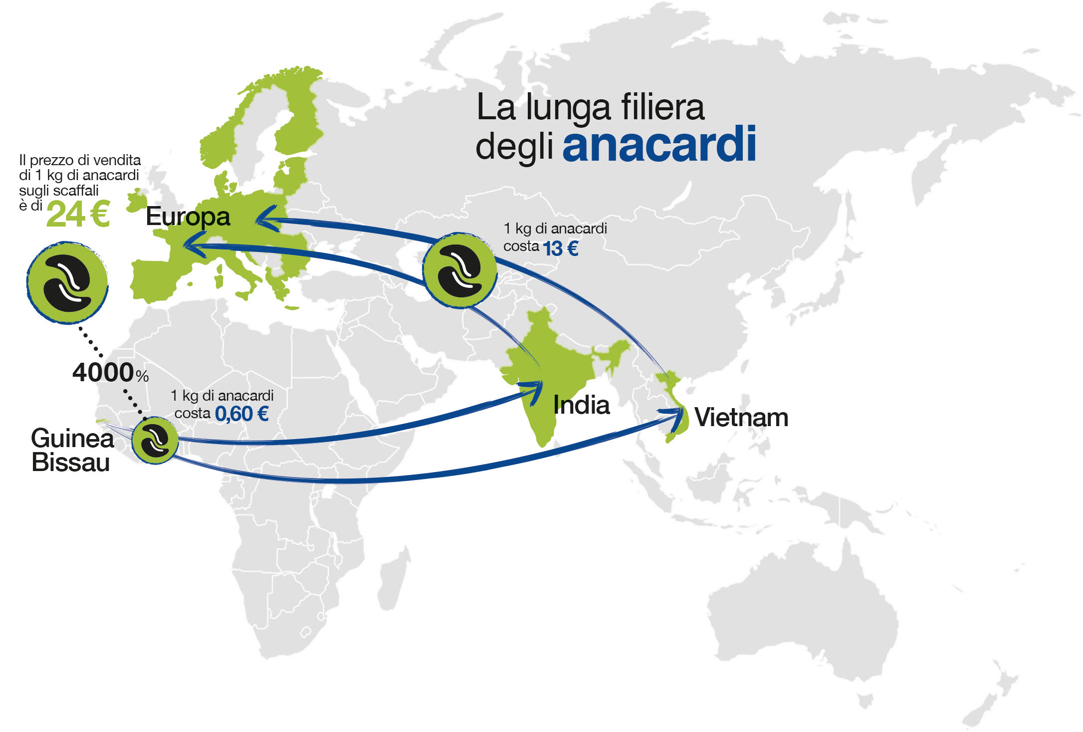 La lunga filiera degli anacardi