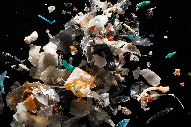 Microplastiche (Chesbay Peak Program - Flickr)