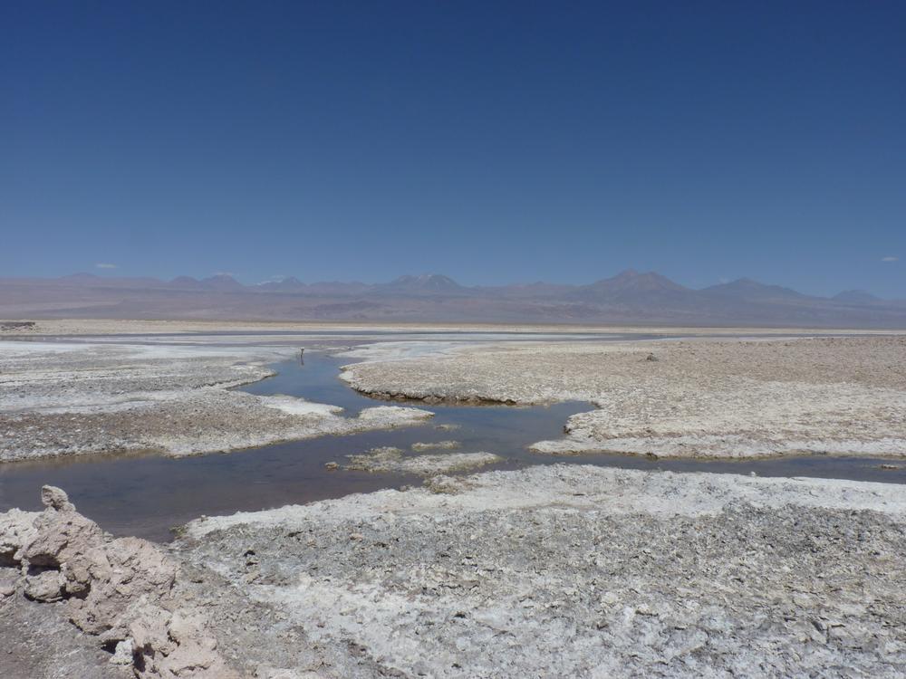 Il Salar de Atacama, in Cile. Foto di Alice Pistolesi