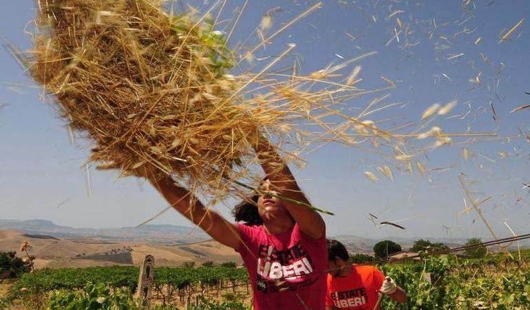 Mafie, Comuni poco trasparenti sui beni confiscati