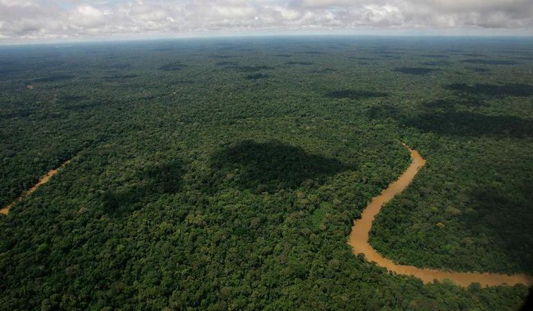 Il parco nazionale Yasuni, in Ecuador, è uno dei simboli della lotta ambientalista nel Paese: una delle regioni con la più alta biodiversità al mondo, ricca di petrolio e abitata dagli indigeni. AP Photo/Dolores Ochoa