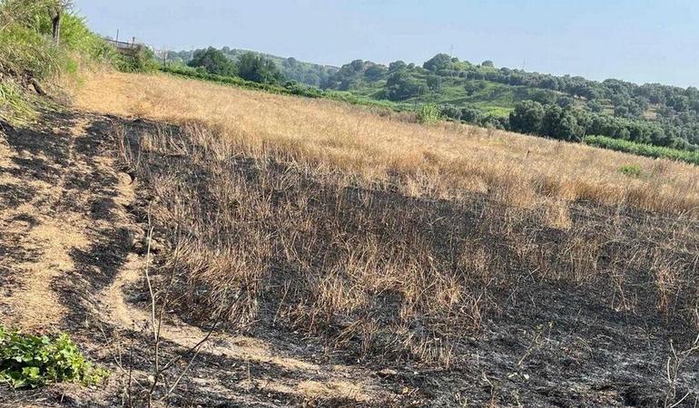 One of the lands seized from the mafia in Calabria and assigned to the workers' cooperative, set on fire in Calabria