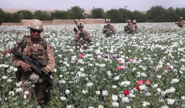 Aprile 2012, Helmand, Afghanistan sud-occidentale. Marines statunitensi attraversano un campo di oppio (Foto U.S. Marine Corps/Flickr)