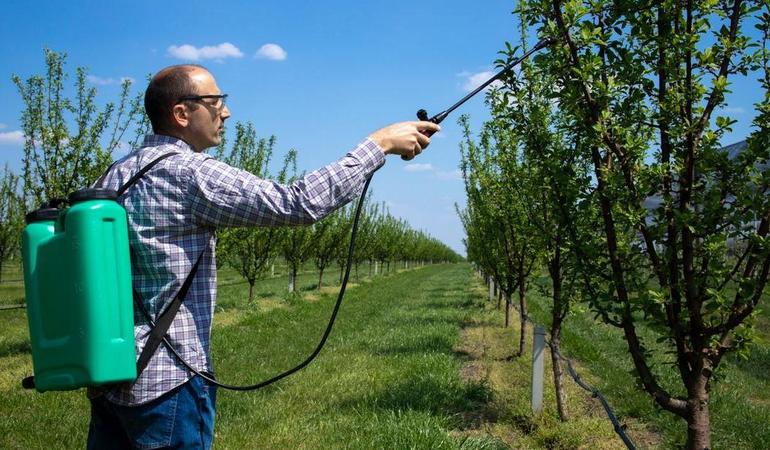 Un agricoltore spruzza pesticidi su un albero da frutto (Aleksandar Littlewolf/Freepik)