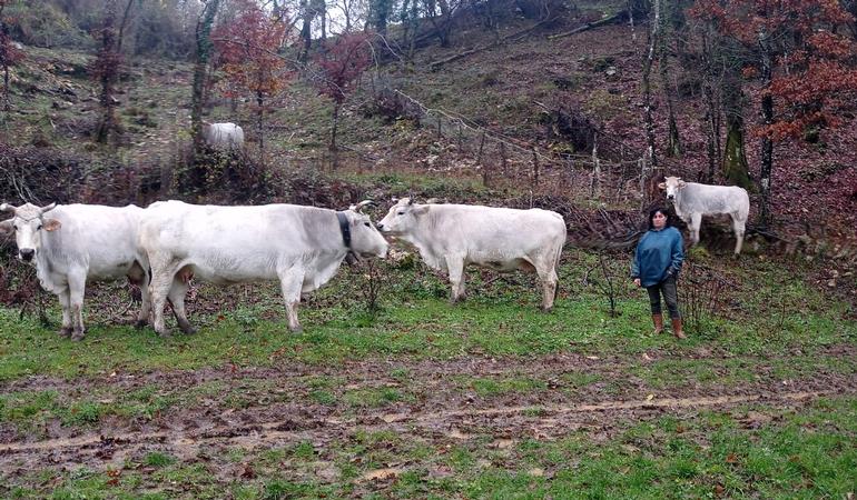 Assunta Valente al lavoro nei pascoli