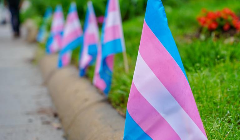 2018, Washington, le bandiere che rappresentano le identità transgender (Ted Eytan/Flickr)