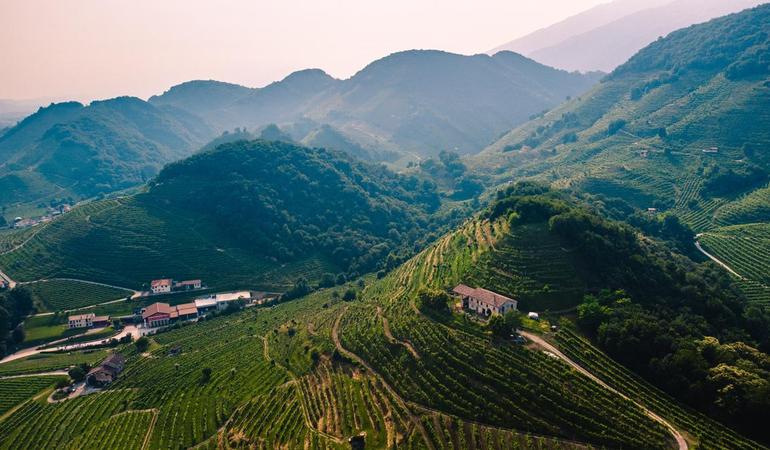Le colline del Prosecco di Valdobbiadene. Foto di Alberto Caliman/Unsplash 