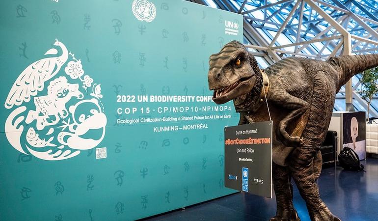 Cop15 di Montreal sulla biodiversità. Foto: fb/un biodiversity