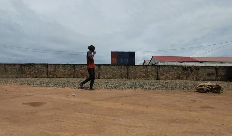 Le noci di anacardio vengono seccate al sole prima dell'esportazione negli hangar della Guinea-Bissau