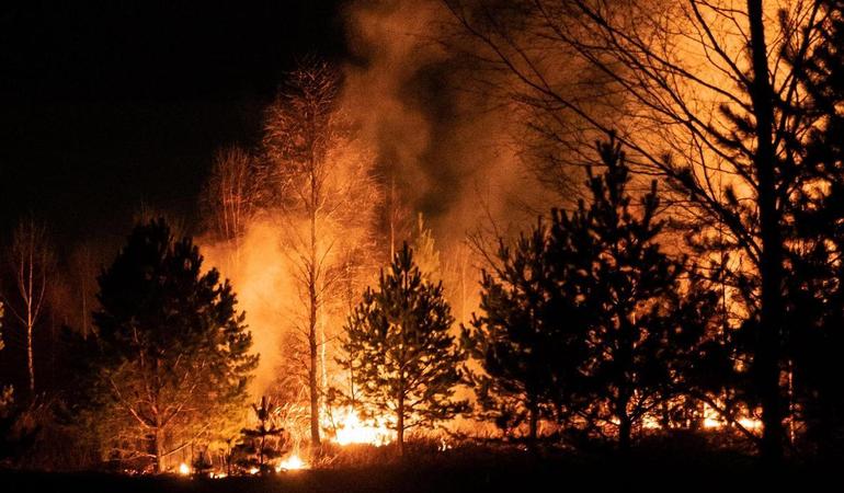 Foto di Egor Vikhrev/Unsplash 