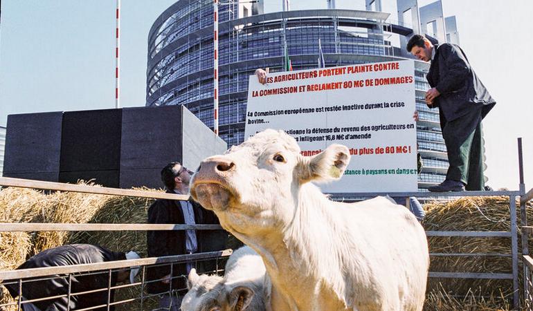 Proteste degli agricoltori davanti al parlamento di Strasburgo