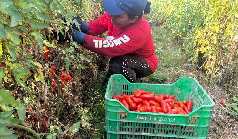 Fondo Nicola Nappo a Scafati: agricoltura sostenibile e orti sociali nei terreni confiscati alla camorra