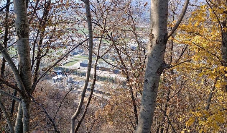 Lo stabilimento Miteni di Trissino, in provincia di Vicenza/www.pfas.land