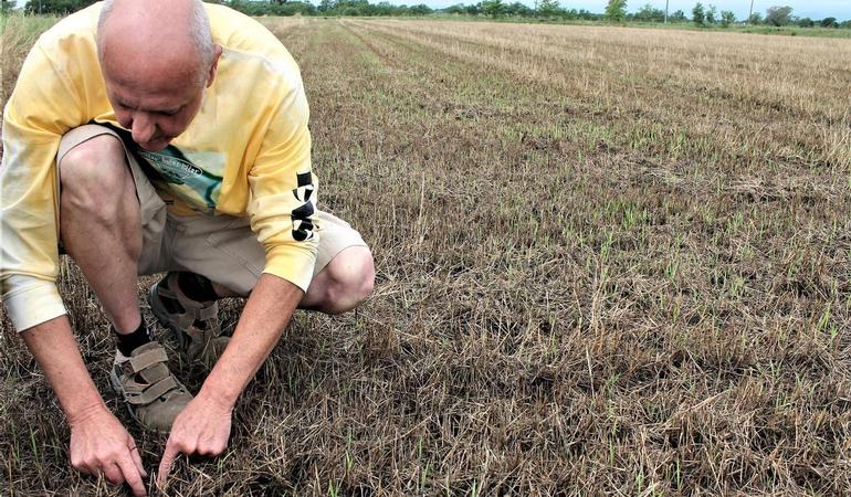 Giuseppe Goio, coltivatore del biodistretto di Rovasenda