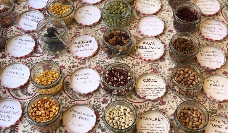 Semi. Foto di ColtivareCondividendo/facebook