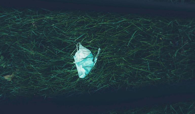 Foto di Max Bender su Unsplash 