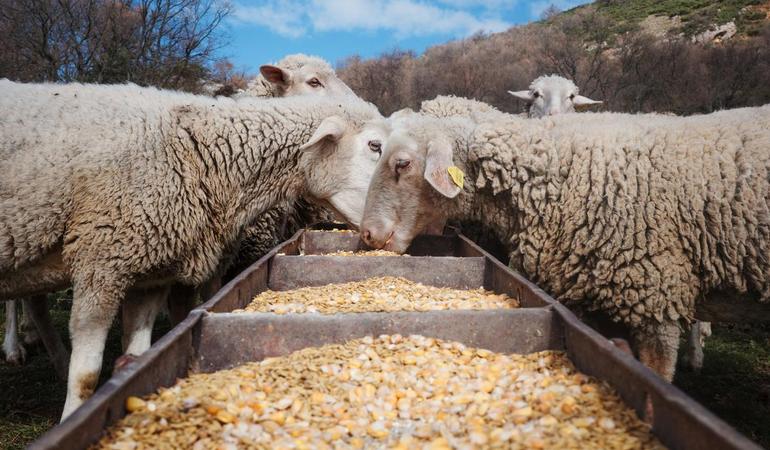Abruzzo, foto di Marco Panzarella
