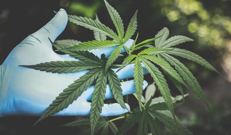 Foto di Aphiwat Chuangchoem da Pexels