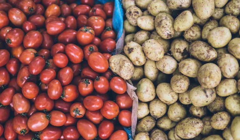 Approvato il primo piano nazionale contro il caporalato