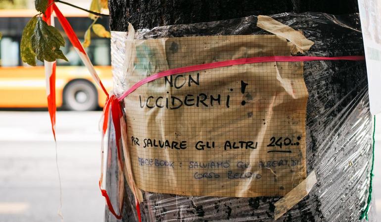 Proteste contro il taglio degli alberi in corso Belgio a Torino