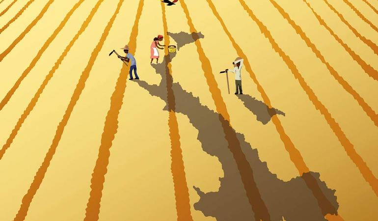 L'illustrazione di Jacopo Vigorita per la copertina del libro di Sara Manisera, Racconti di schiavitù e lotta contadina