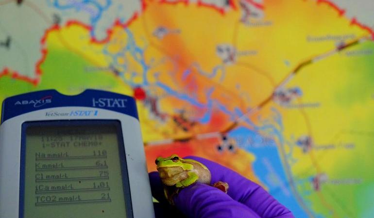 Foto di Germán Orizaola Pereda, professore di Zoologia dell'Università di Oviedo