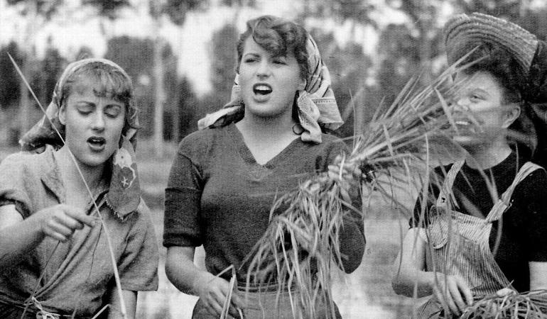 Silvana Mangano (al centro) interpreta una mondina nel film Riso amaro. Archivio Ansa/Do