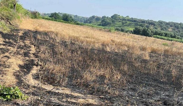 Uno dei terreni confiscati alla mafia in Calabria e assegnati alla cooperativa dei lavoratori, dato alle fiamme