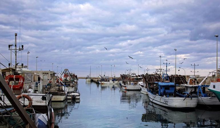 Mafia garganica, gli affari dei boss: "Il mare è nostro"