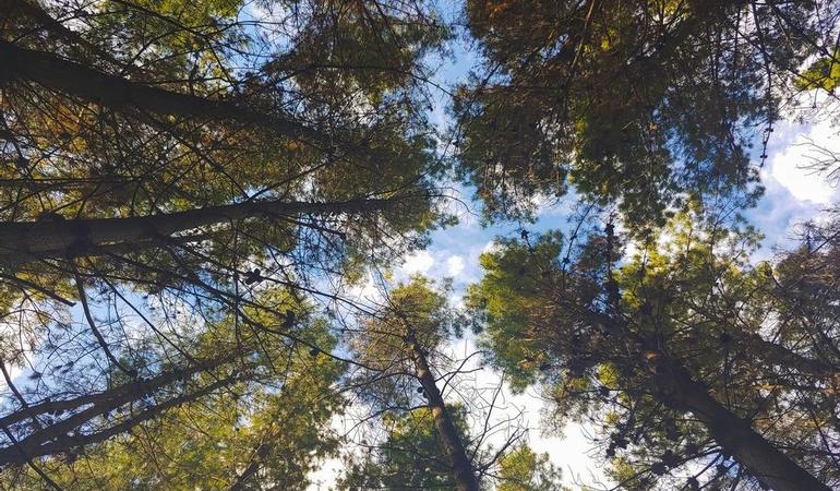 (Foto di Salvadot Bobadilla - Unsplash)