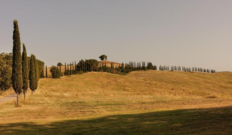 Monteroni d'Arbia, 26 giugno 2025. La tenuta di Suvignano. Foto di M. Panzarella
