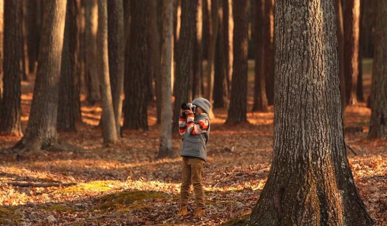 (Foto di Thomas Scott - Unsplash)