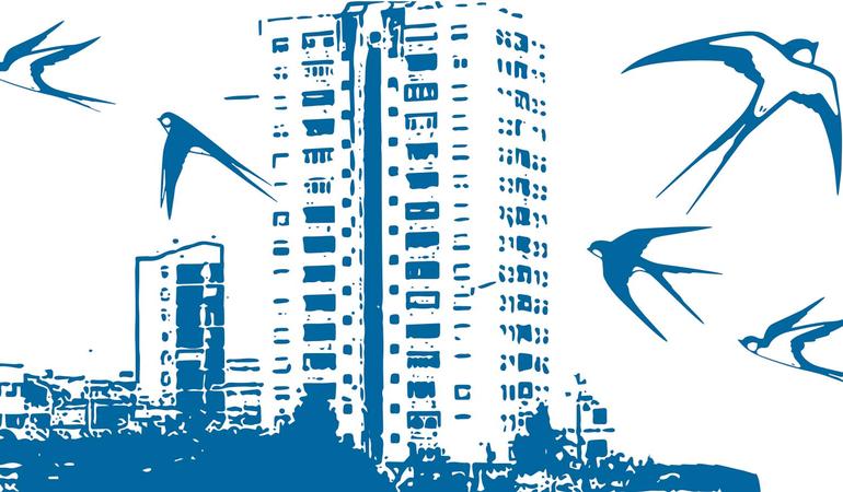 Tor Bella Monaca, per sognare un futuro diverso